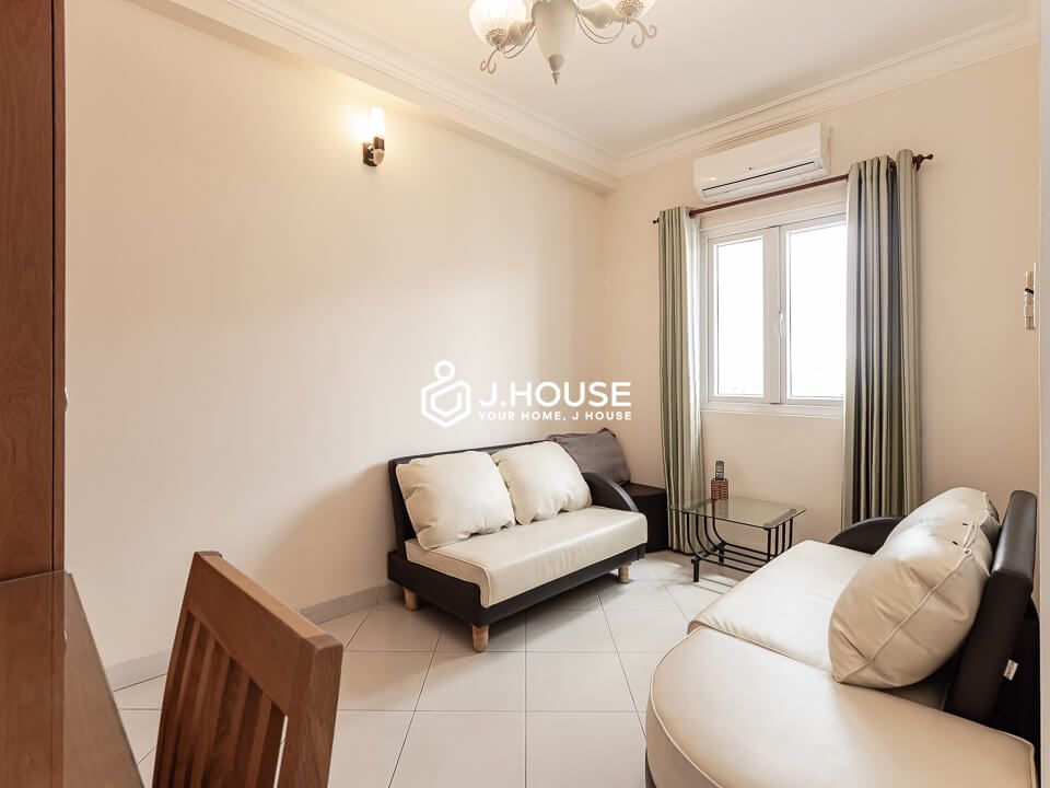 Rooftop apartment for rent in Binh Thanh district-5