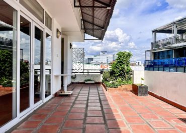 Rooftop apartment for rent with private terrace near the airport, Tan Binh District