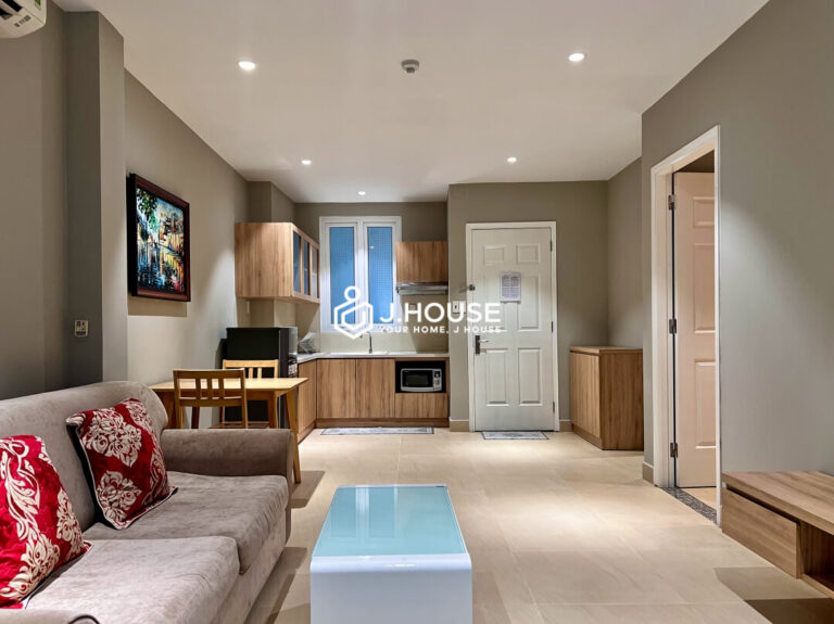 Rent a 1 br apartment on Nguyen Huu Canh Street, Binh Thanh District