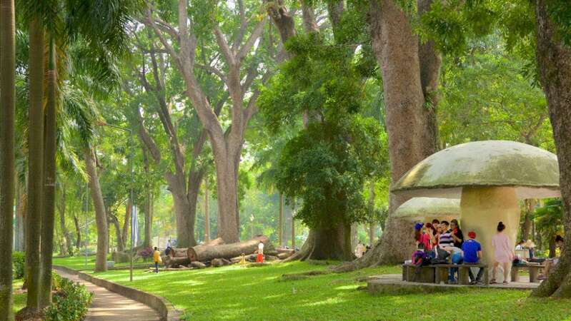Raising-Kids-in-HCMC-Guide-for-Long-Term-Expat-Families-5