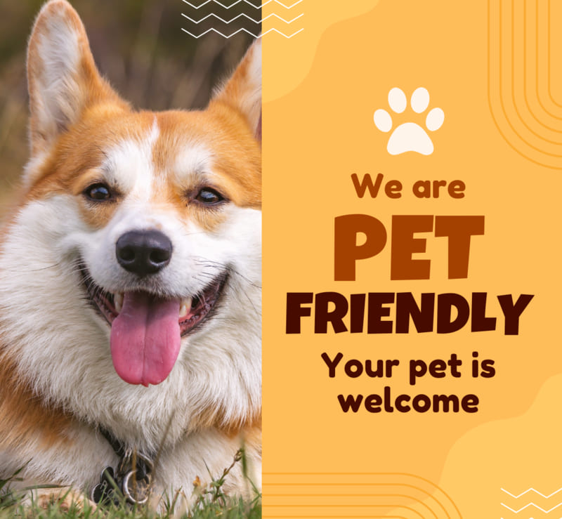 Best-Pets-for-Apartment-Living-in-Vietnam-4