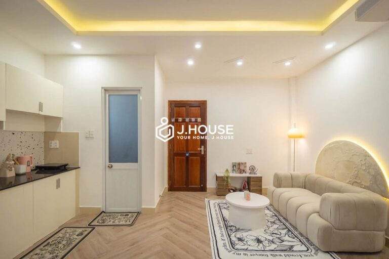 Fully furnished modern apartment at Funky House, Binh Thanh District