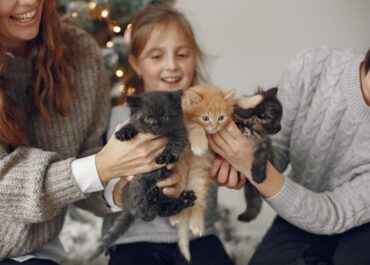 Living-with-Pets-in-Vietnam-A-Complete-Guide-for-Expats-&-Locals-1