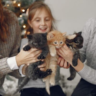 Living with Pets in Vietnam: A Complete Guide for Expats & Locals