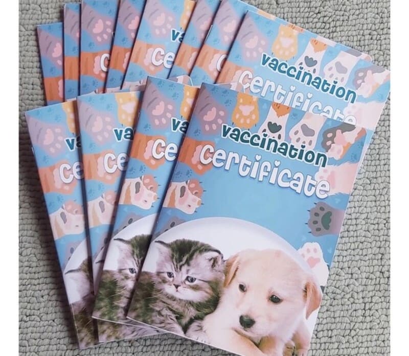 Living-with-Pets-in-Vietnam-A-Complete-Guide-for-Expats-&-Locals-3