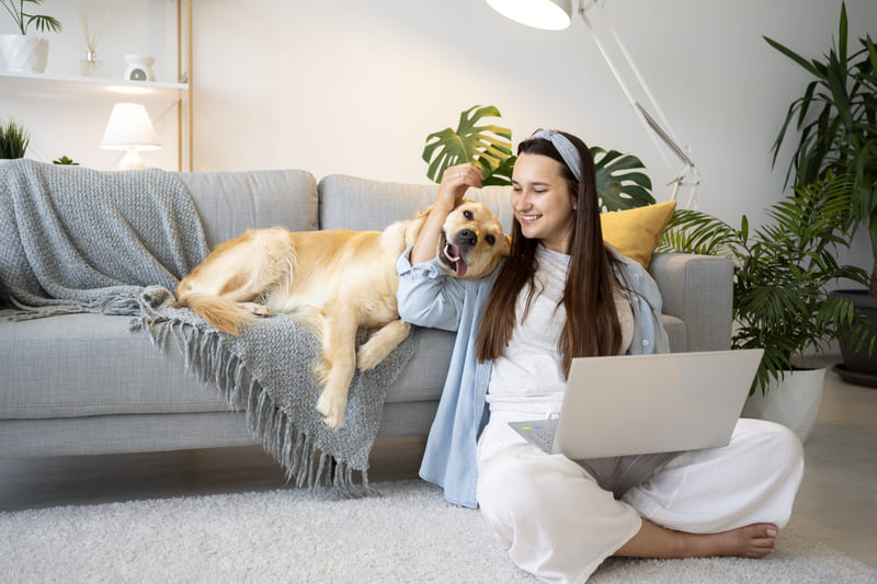 Living-with-Pets-in-Vietnam-A-Complete-Guide-for-Expats-&-Locals-4