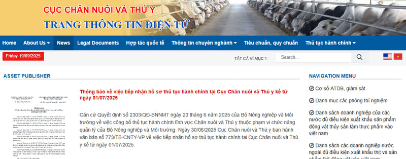 Moving to Vietnam with Pets: Entry Rules & Required Documents 8 Moving-to-Vietnam-with-Pets-Entry-Rules-&-Required-Documents-2