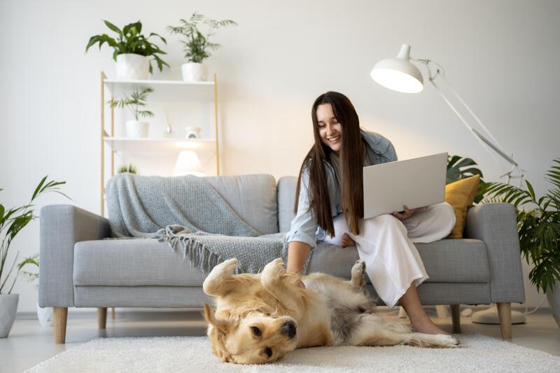 Moving to Vietnam with Pets: Entry Rules & Required Documents 11 Moving-to-Vietnam-with-Pets-Entry-Rules-&-Required-Documents-5
