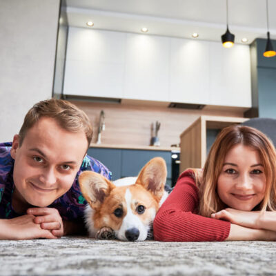 Quy Tắc Nuôi Thú Cưng Khi Sống Ở Căn Hộ: Giữ Hòa Khí Với Hàng Xóm