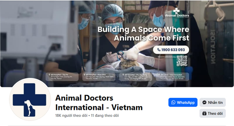 Căn Hộ Thân Thiện Với Thú Cưng Ở TP.HCM: Những Điều Bạn Cần Biết 10 Pet-Friendly-Apartments-in-HCMC-What-You-Need-to-Know-4