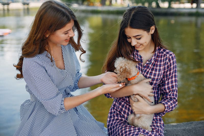 Căn Hộ Thân Thiện Với Thú Cưng Ở TP.HCM: Những Điều Bạn Cần Biết 11 Pet-Friendly-Apartments-in-HCMC-What-You-Need-to-Know-5