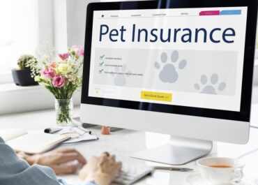 Pet Insurance Care Guarantee Concept