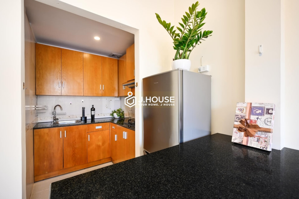 1br apartment for rent near Independence Palace and Notre Dame Cathedral in District 1, HCMC-5