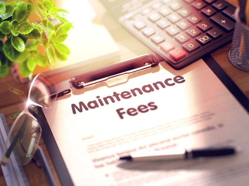 Understanding-Taxes-&-Fees-When-Renting-in-Vietnam-as-a-Foreigner-3