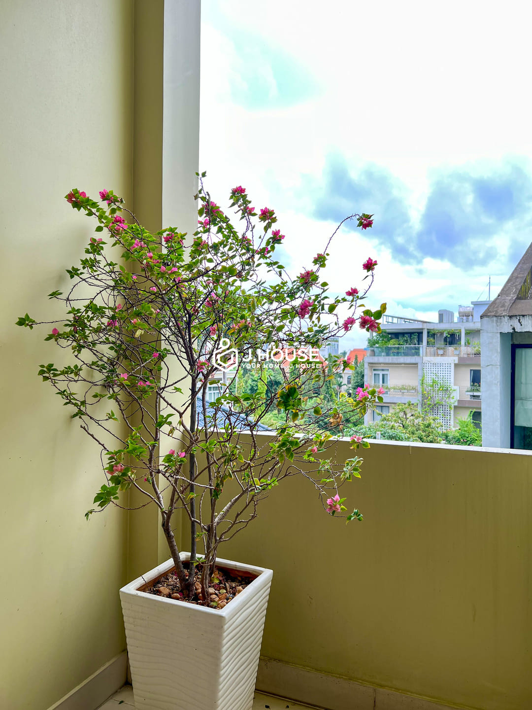 Bright 1 br apartment for rent in Thao Dien, District 2 - Thuy House-7