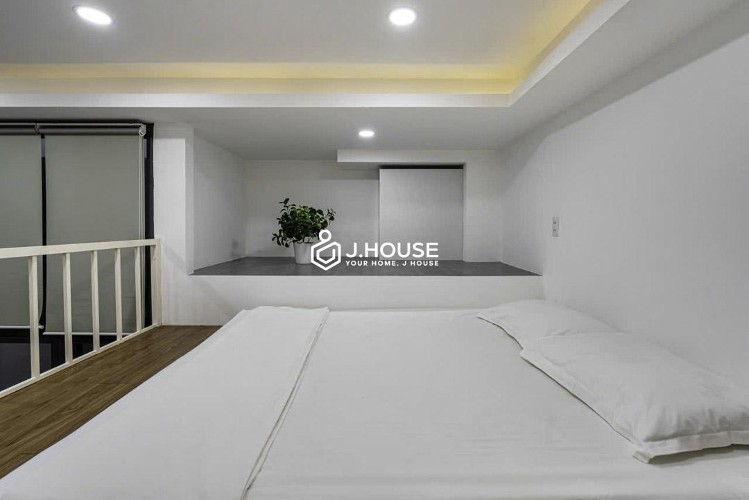 Rent Compact Duplex with Skylight Windows in Phu Nhuan District-8