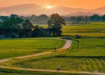 Things-Expats-Slowly-Learn-to-Love-in-Vietnam-2