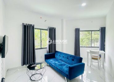 Bright 1-bedroom apartment for rent in Thanh My Loi