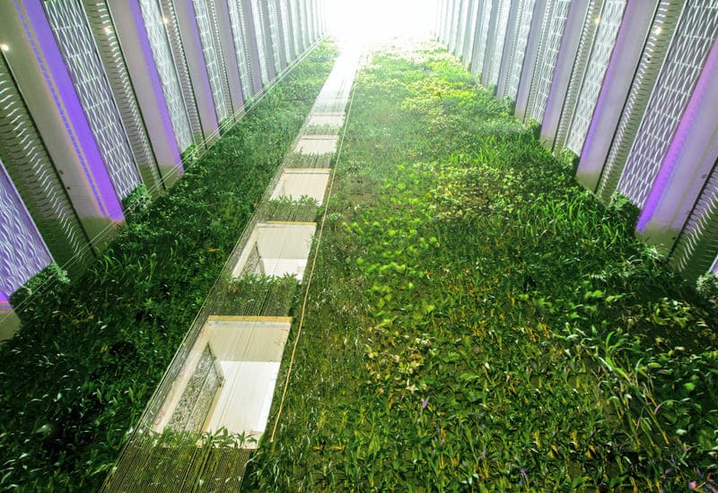 Léman-Luxury-Apartment-13